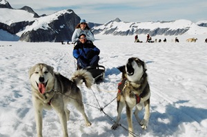 Dogsled ride Juneau Alaska