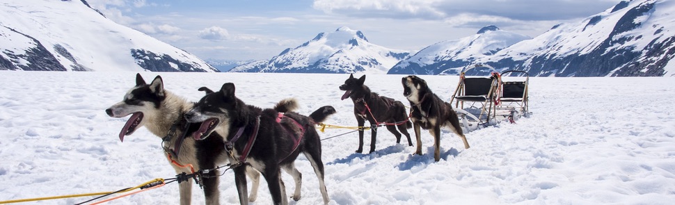 Alaska Dogsled